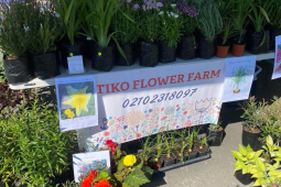 Art deco Tiko Flower Farm