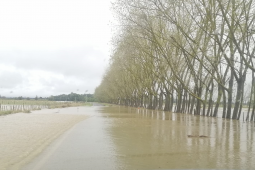 Flooding at Tikokino.jpg
