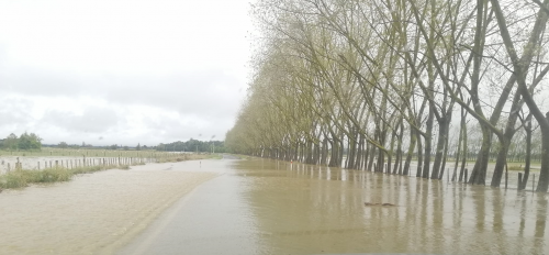 Flooding at Tikokino.jpg