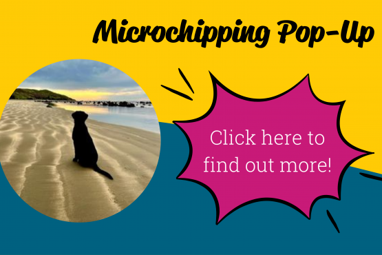 Microchipping Pop-Up